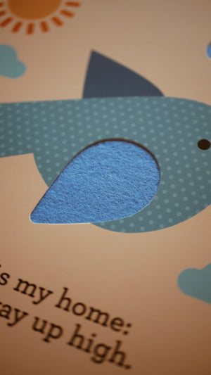 A First Felt Book Series - This is My Home (Imperfect)