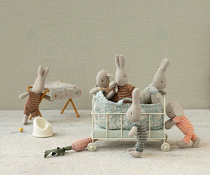 Rabbit in Carry Cot