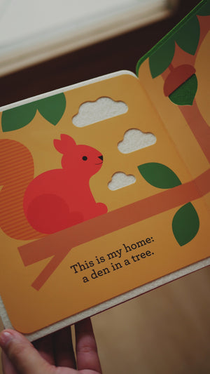 A First Felt Book Series - This is My Home (Imperfect)