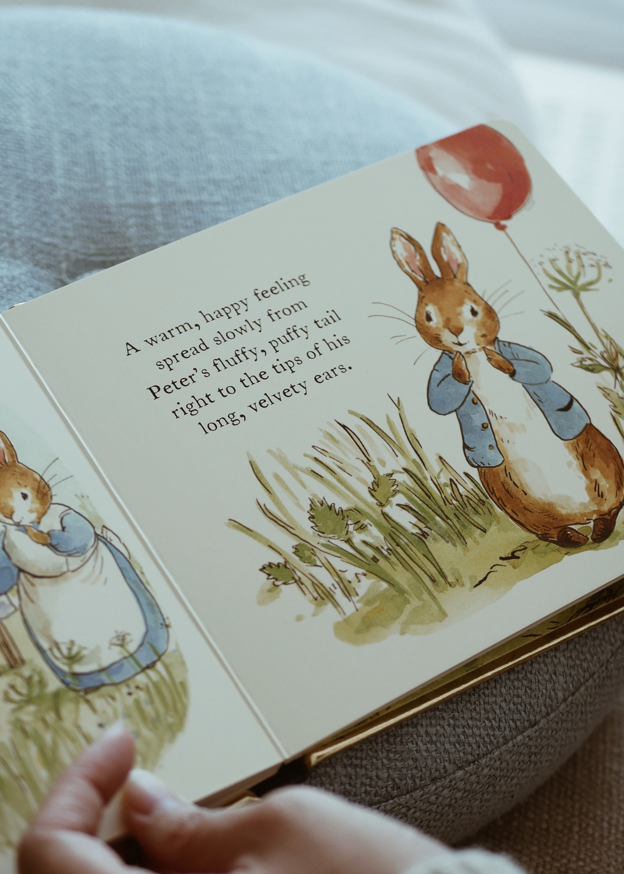 Peter Rabbit Tales- Happy Birthday!