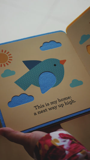 A First Felt Book Series - This is My Home (Imperfect)