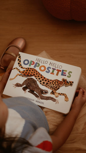 Hello Hello Book Series