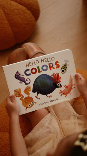 Hello Hello Book Series