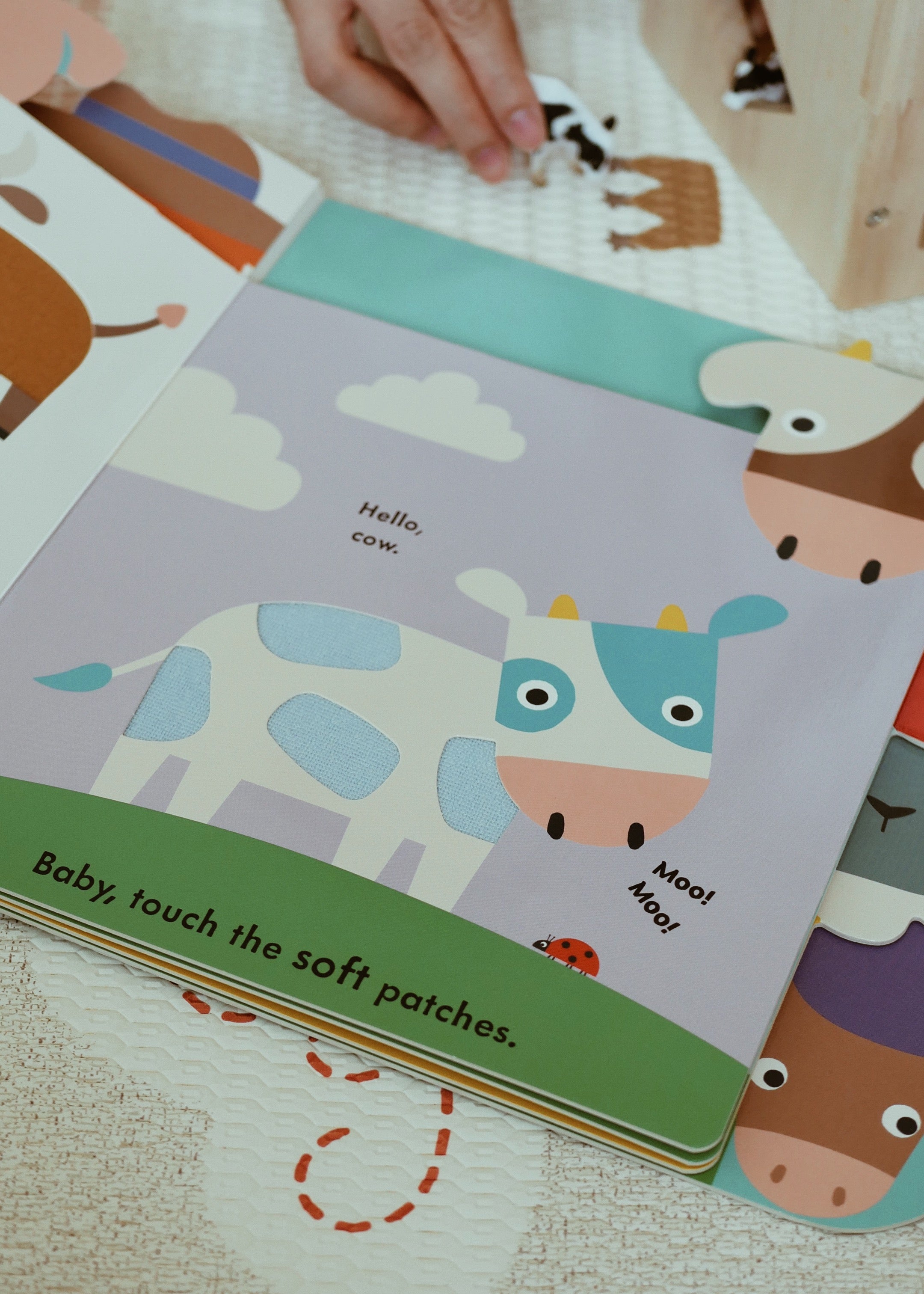 Baby Touch Tab Book Series