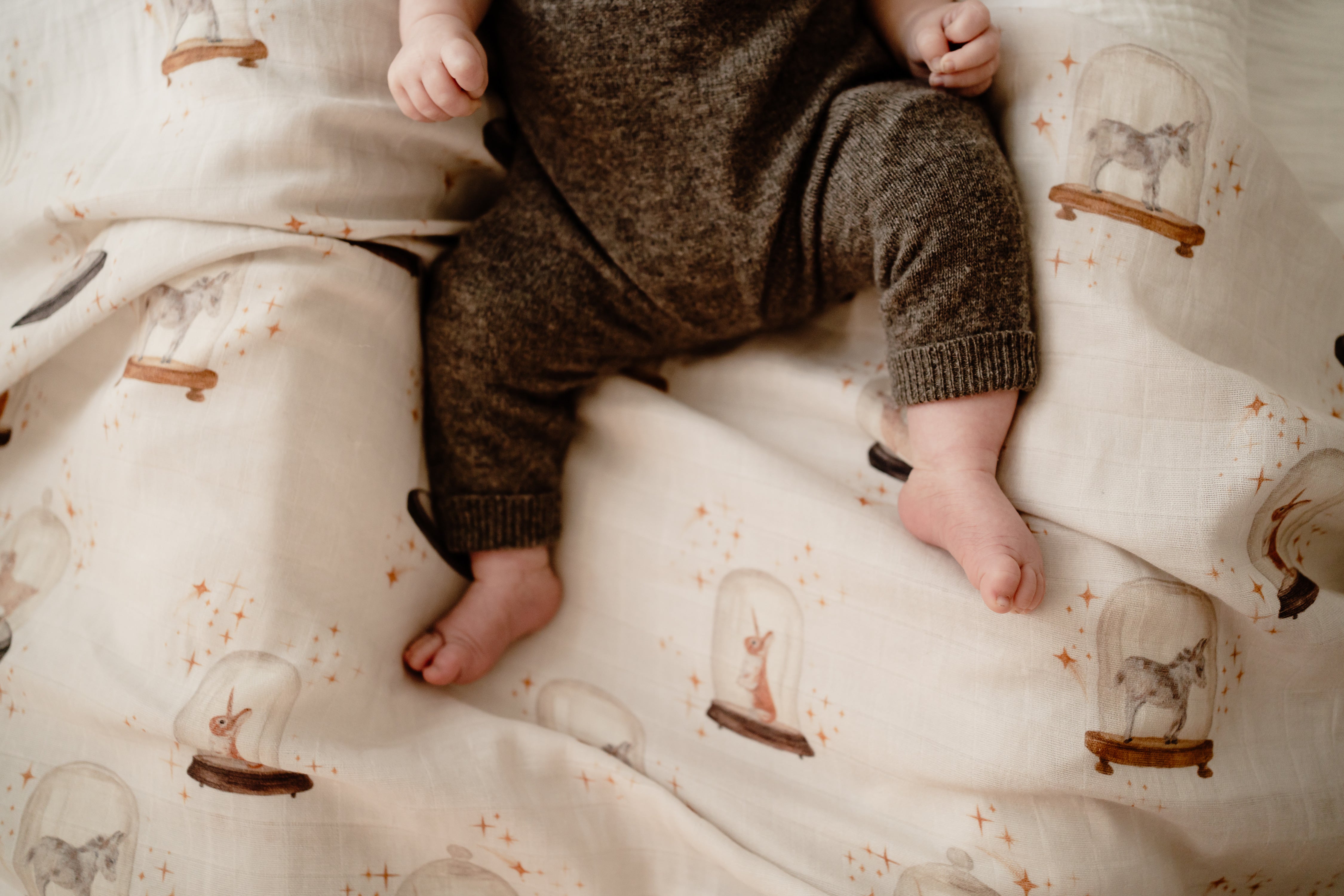 Swaddle | Curious Creatures AW23