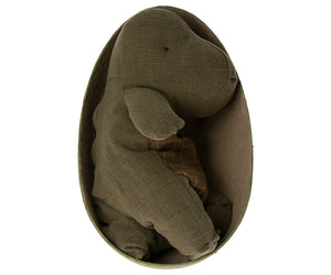 Gantosaurus in Egg