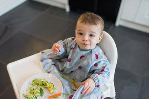 Open image in slideshow, Tidy Tot Cover and Catch Bib
