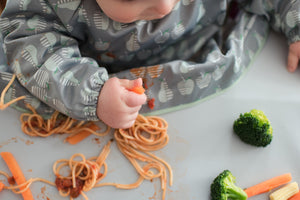 Tidy Tot Bib and Tray Kit
