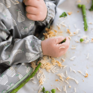Tidy Tot Bib and Tray Kit