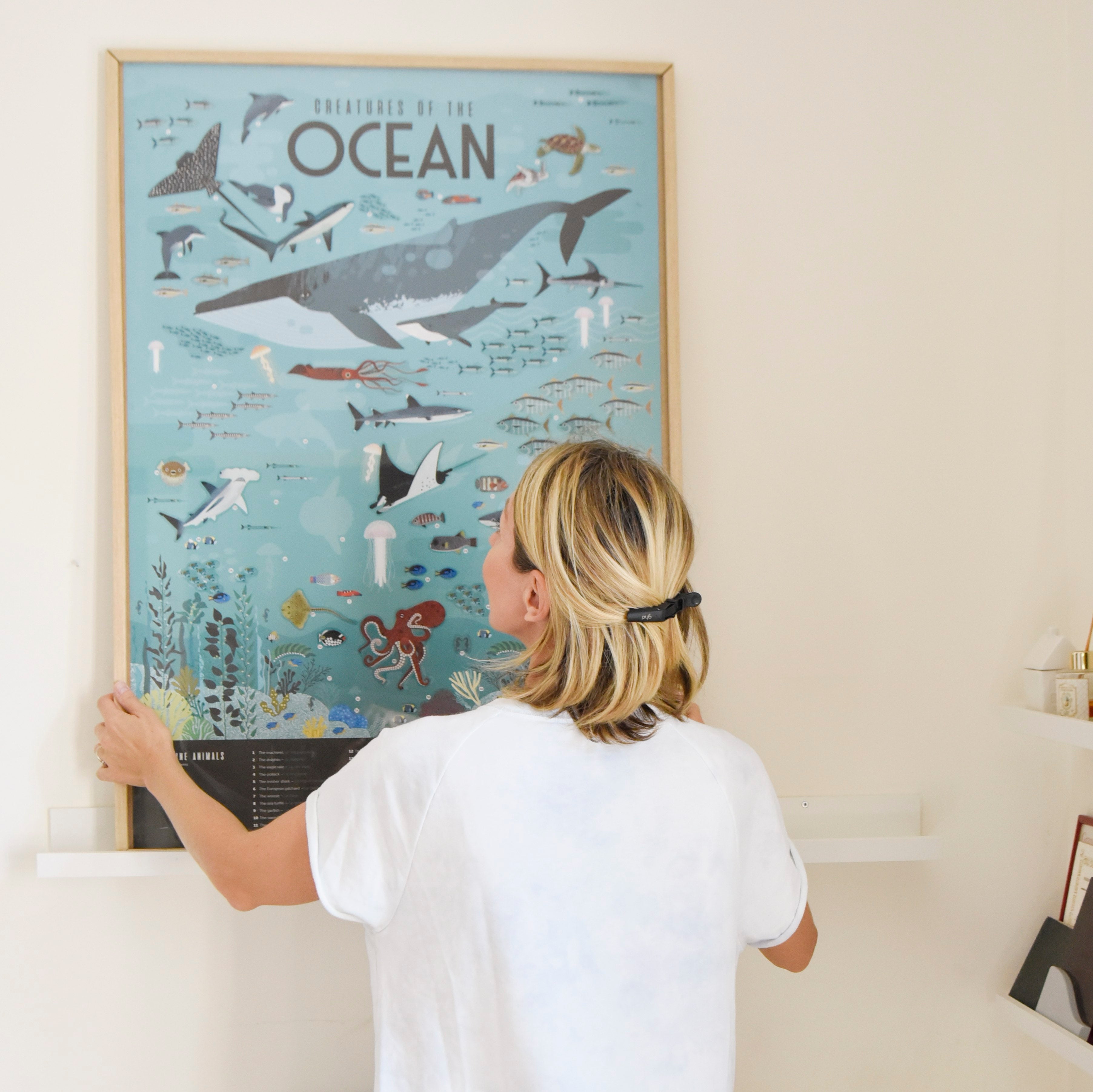 Poppik Educational Sticker Poster | Oceans